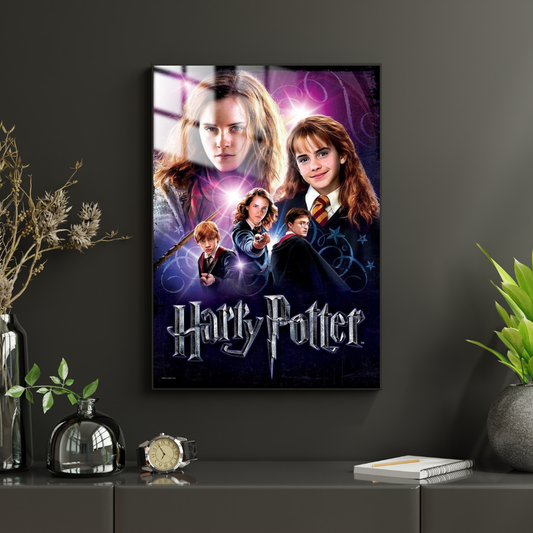 Harry Potter - Metal Poster 1302