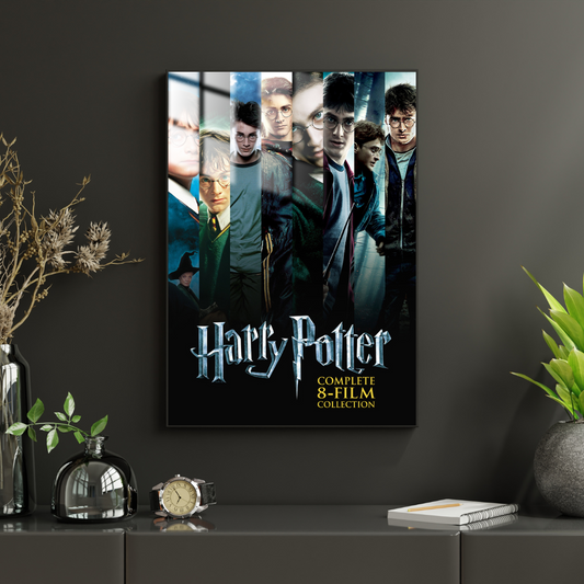 Harry Potter - Metal Poster 1329