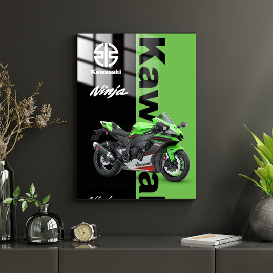 Kawasaki Ninja - Metal Poster 1050