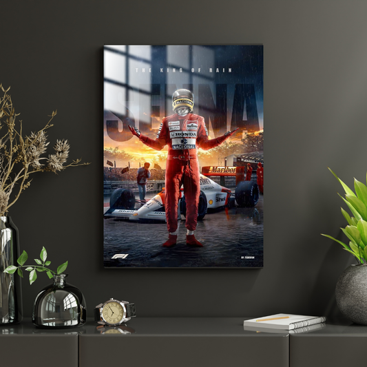 Ayrton Senna - Metal Poster 1131