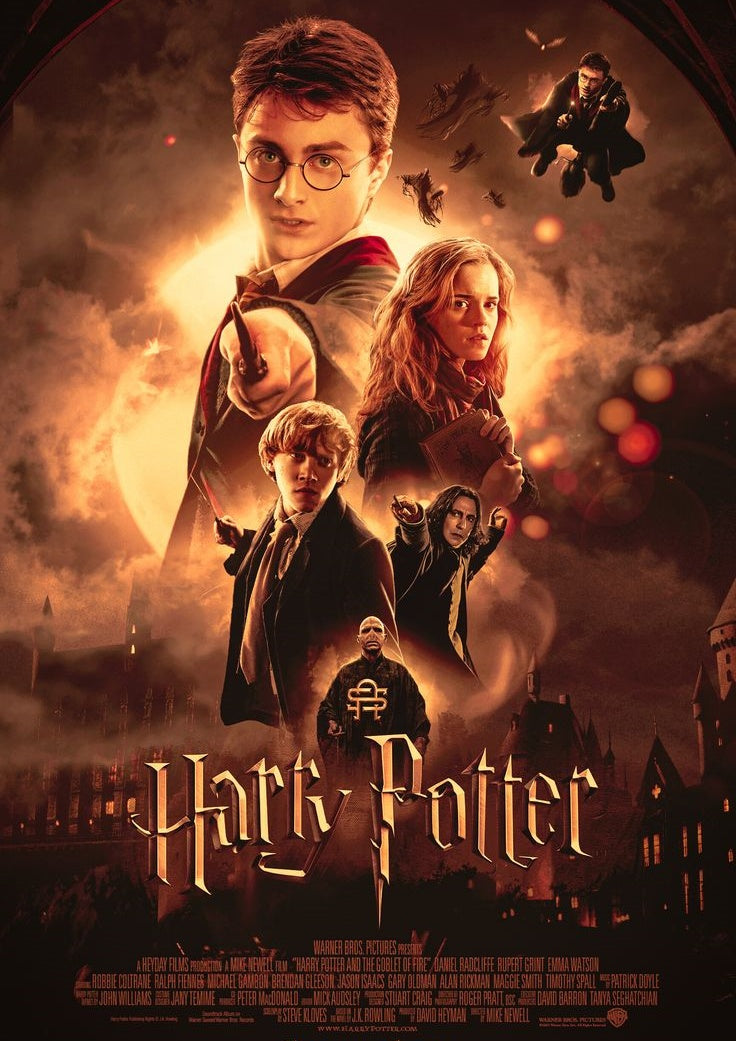 Harry Potter - 3'lü Metal Poster 15